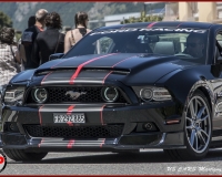 TSR Watermark - 0635